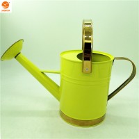 JASION good quality steel watering can metal watering can on sale